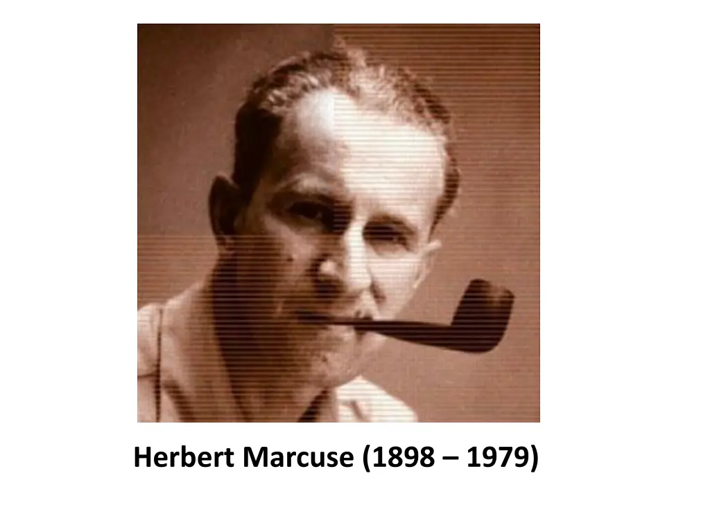 herbert marcuse 1898 1979