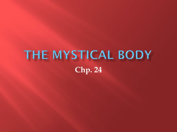 chp 24