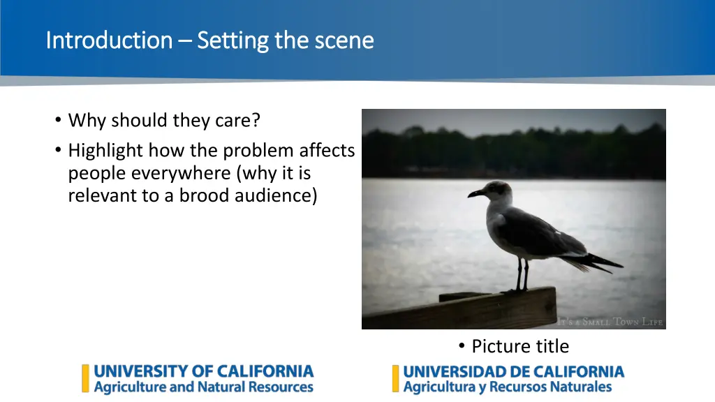 introduction introduction setting the scene 2