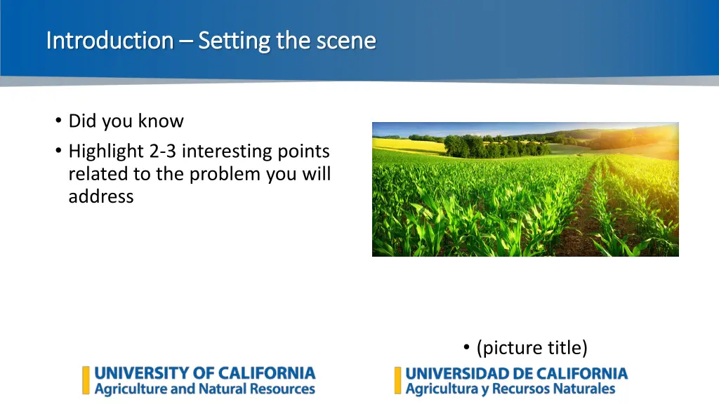 introduction introduction setting the scene