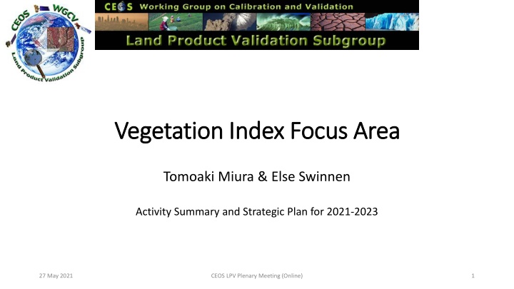 vegetation index focus area vegetation index