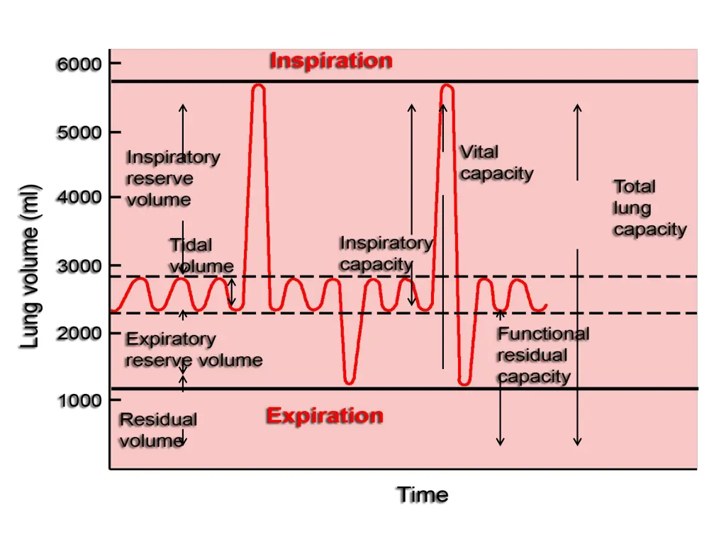 slide4