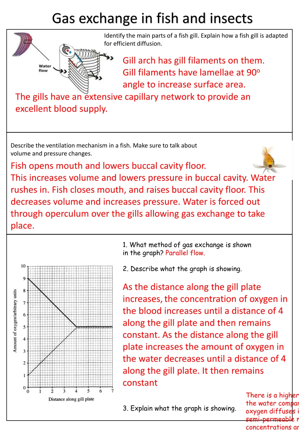 gas exchange in fish and insects 1