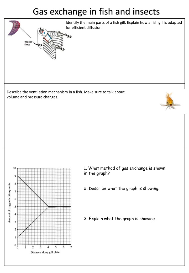 gas exchange in fish and insects