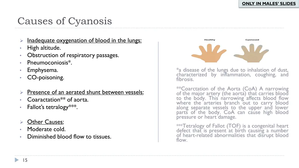 only in males slides 4