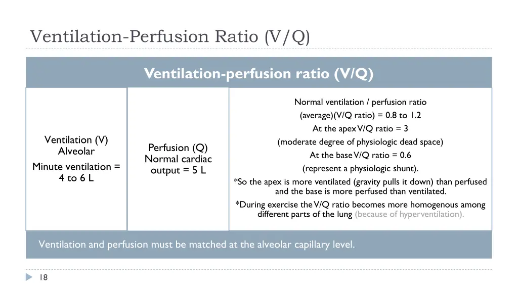 ventilation perfusion ratio v q 1