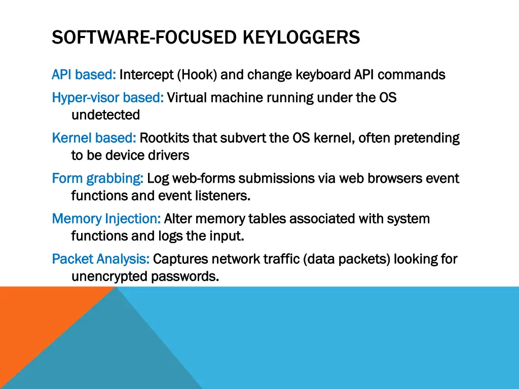 software focused keyloggers