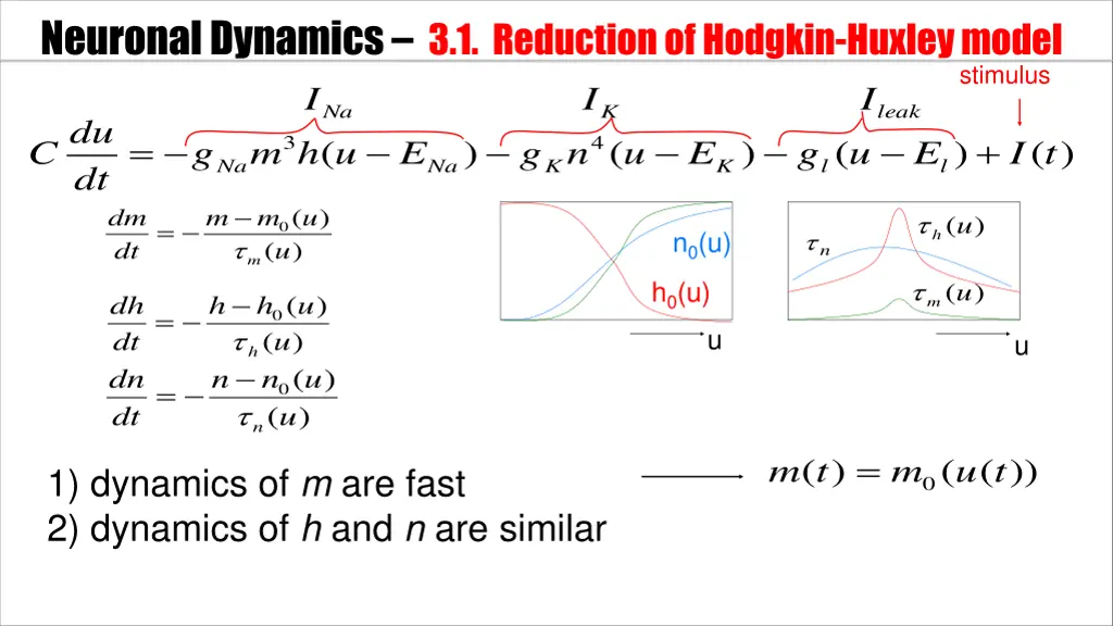 neuronal dynamics 3 1 reductionof hodgkin huxley 1