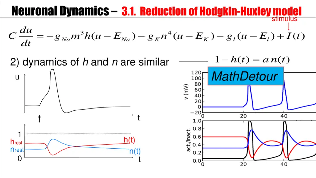 neuronal dynamics 3 1 reductionof hodgkin huxley 3