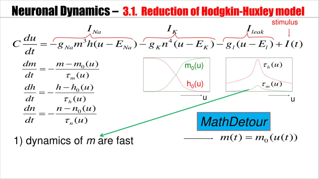 neuronal dynamics 3 1 reductionof hodgkin huxley