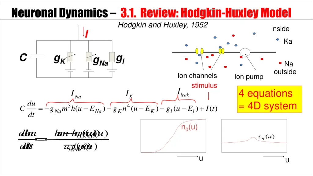 neuronal dynamics 3 1 review hodgkin huxley model 3