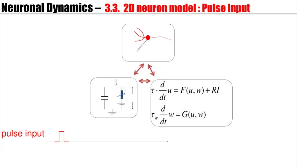 neuronal dynamics 3 3 2dneuron model pulse input