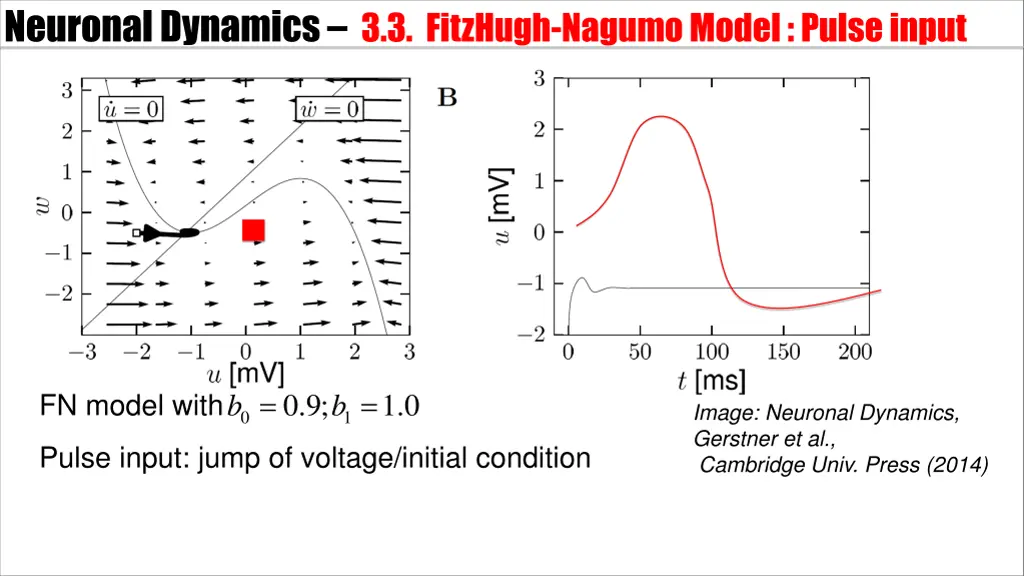neuronal dynamics 3 3 fitzhugh nagumomodel pulse 1