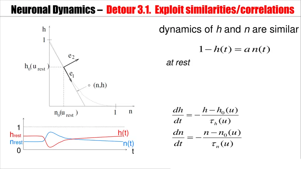 neuronal dynamics detour3 1 exploit similarities 1