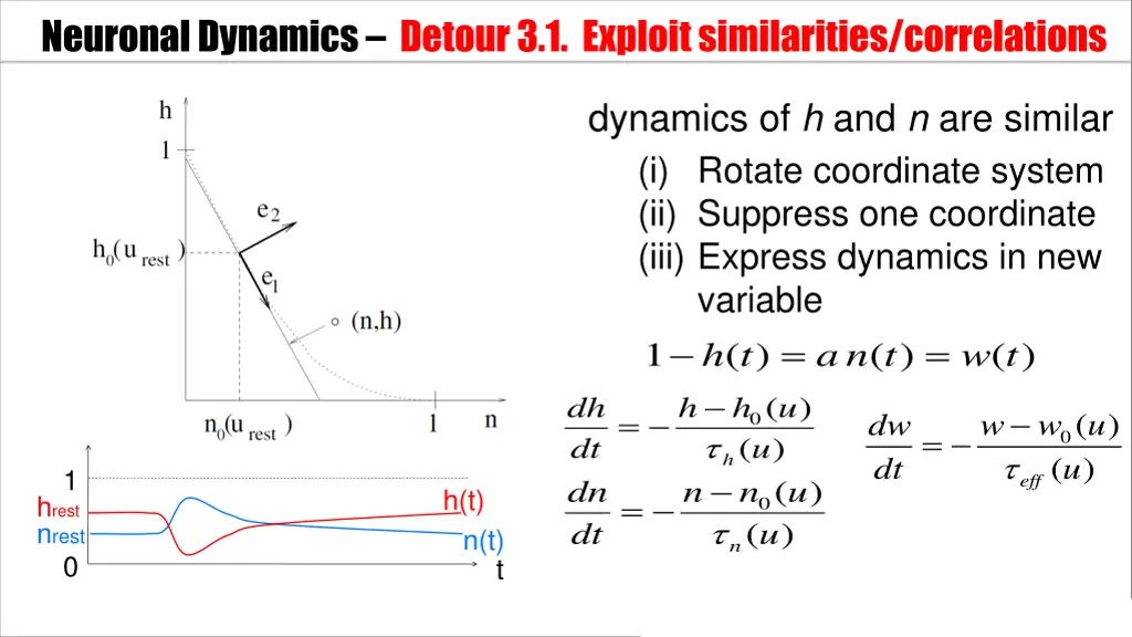 neuronal dynamics detour3 1 exploit similarities 2