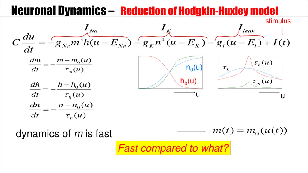 neuronal dynamics reductionof hodgkin huxley model