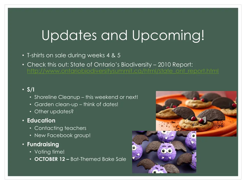 updates and upcoming