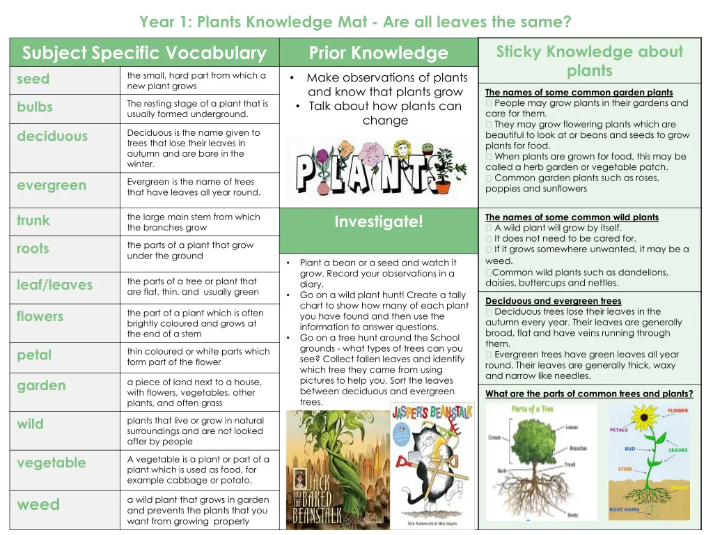 year 1 plants knowledge mat are all leaves
