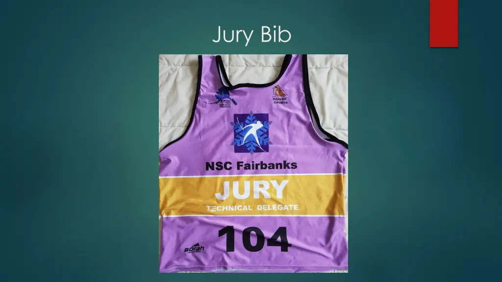 jury bib