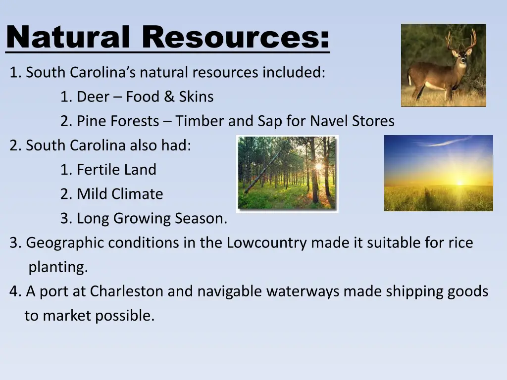 natural resources 1 south carolina s natural
