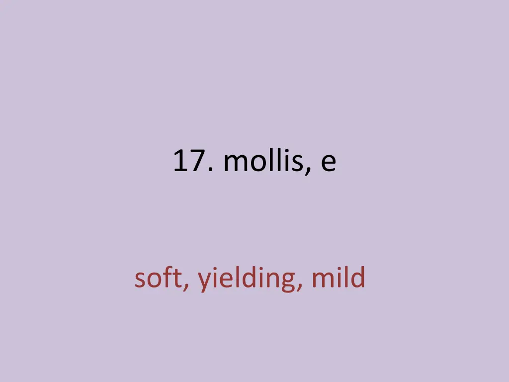 17 mollis e 1