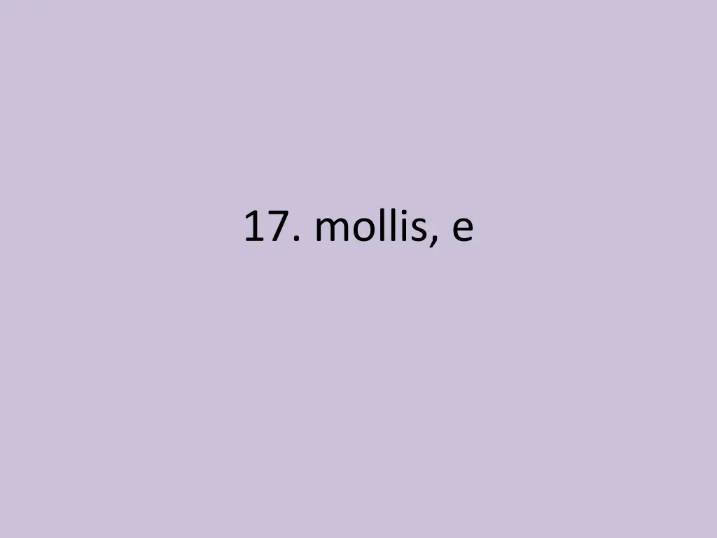 17 mollis e