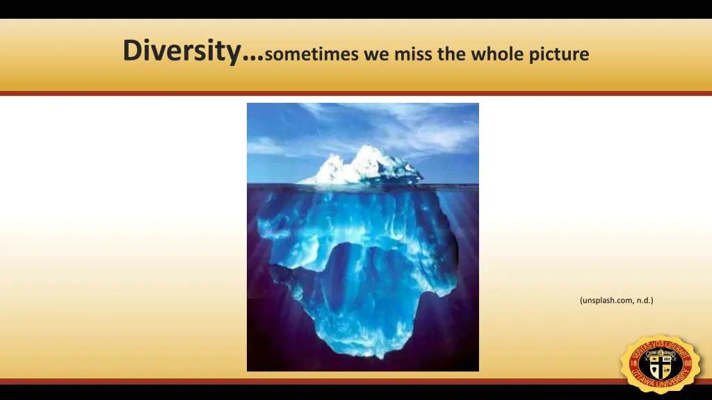 diversity sometimes we miss the whole picture