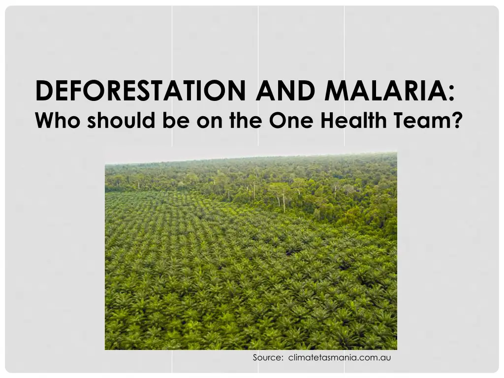 deforestation and malaria who should