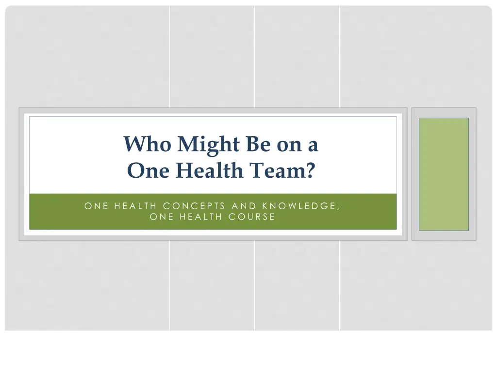 who might be on a one health team
