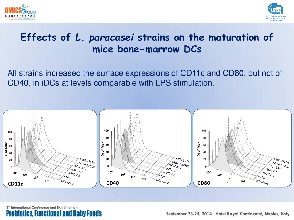 effects of l paracasei strains on the maturation