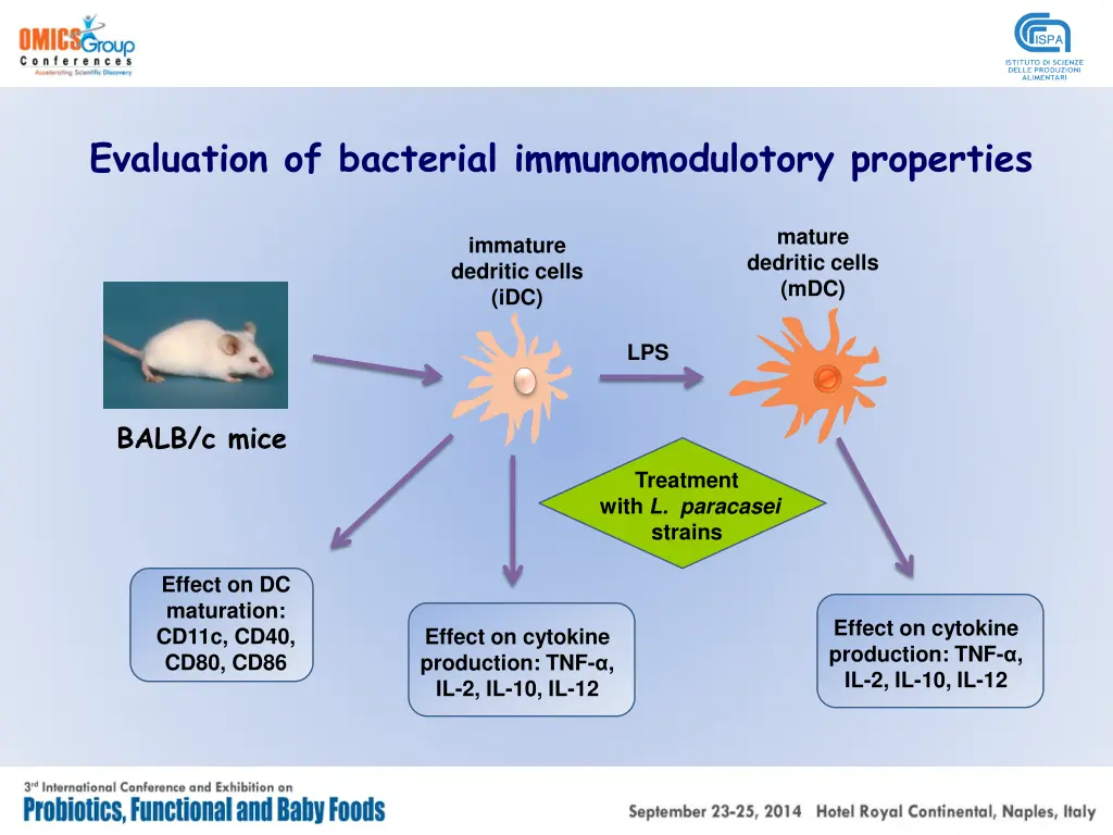 evaluation of bacterial immunomodulotory