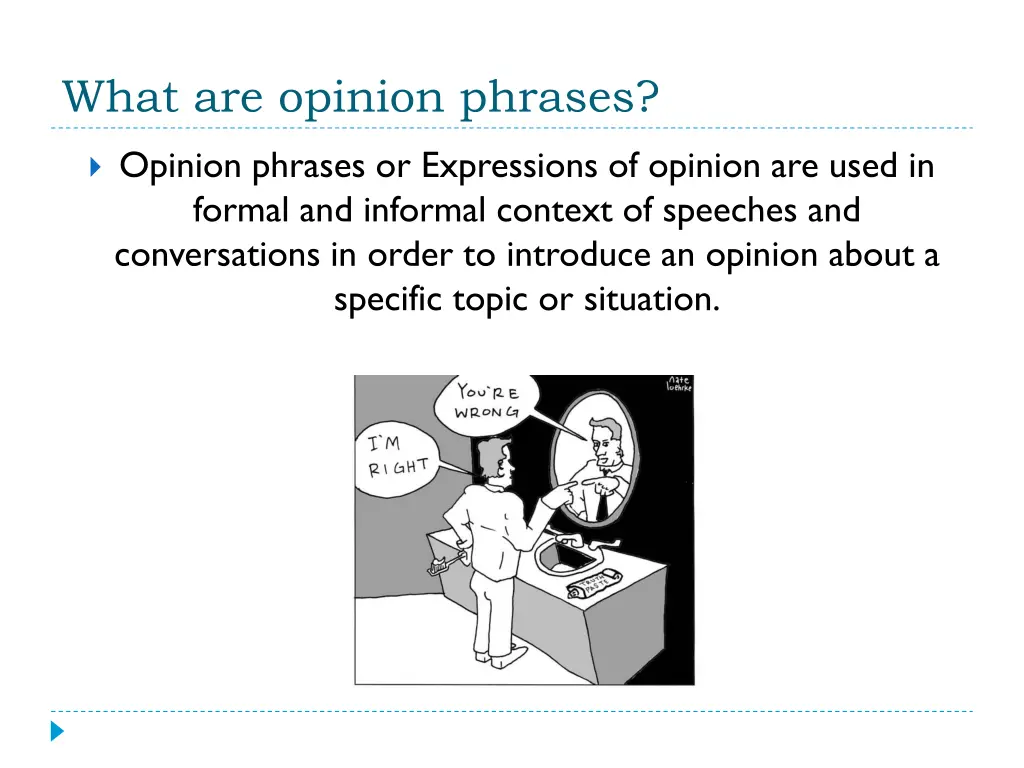 what are opinion phrases