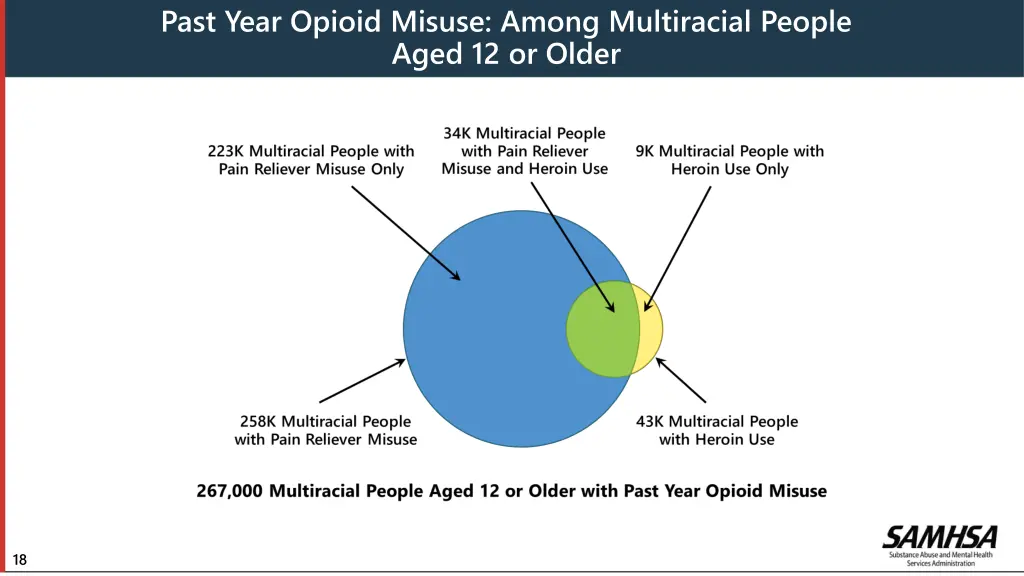 past year opioid misuse among multiracial people