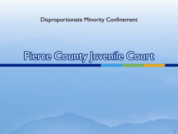 disproportionate minority confinement