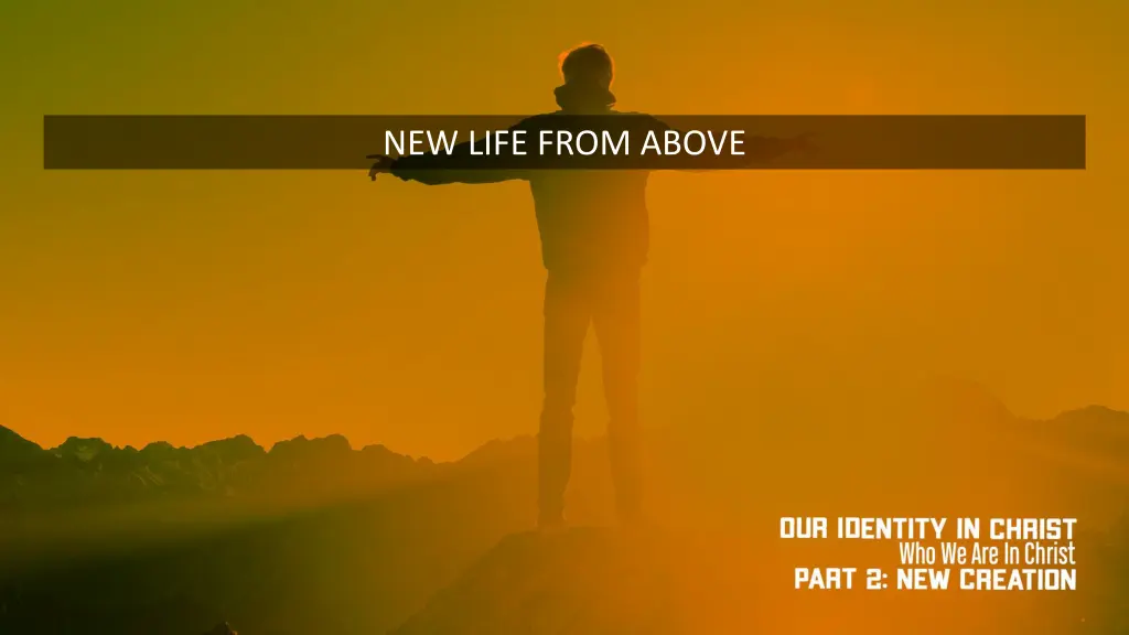 new life from above