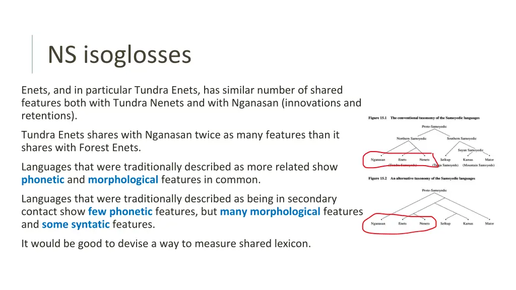 ns isoglosses