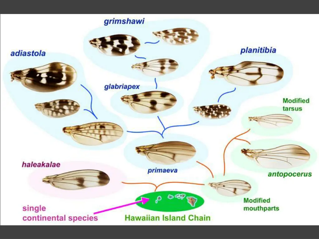 slide22