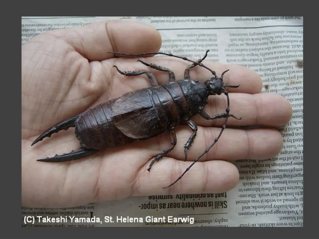slide27