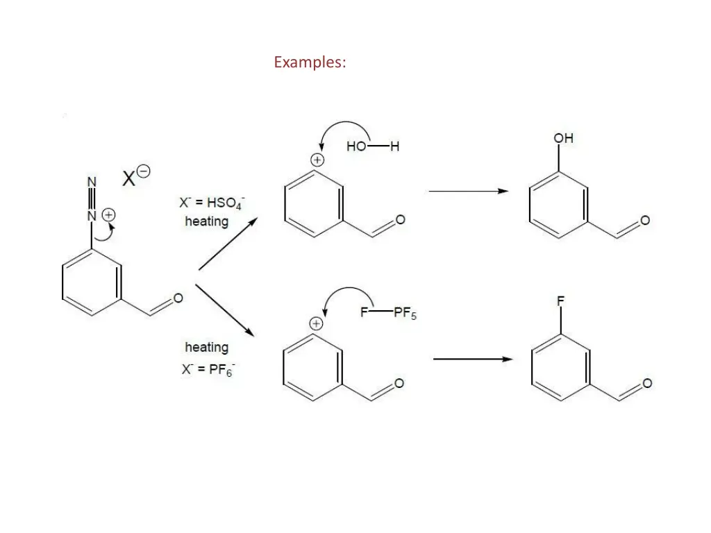 examples 5