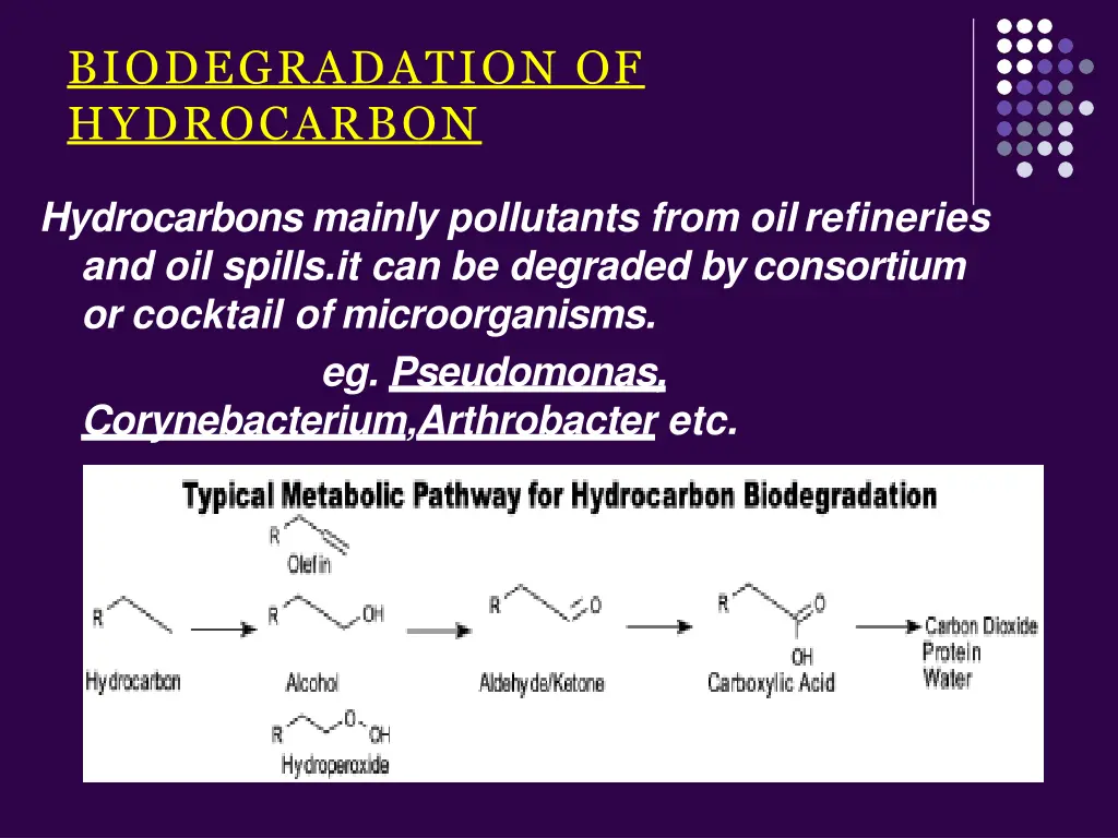 biodegradation of hydrocarbon 1