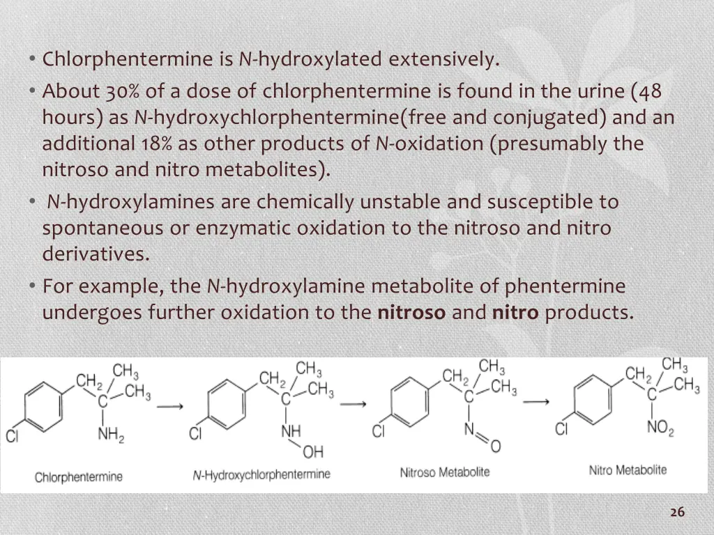 chlorphentermine is n hydroxylated extensively