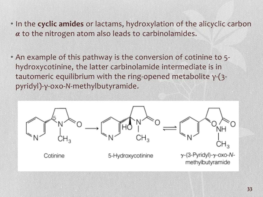 in the cyclic amides or lactams hydroxylation