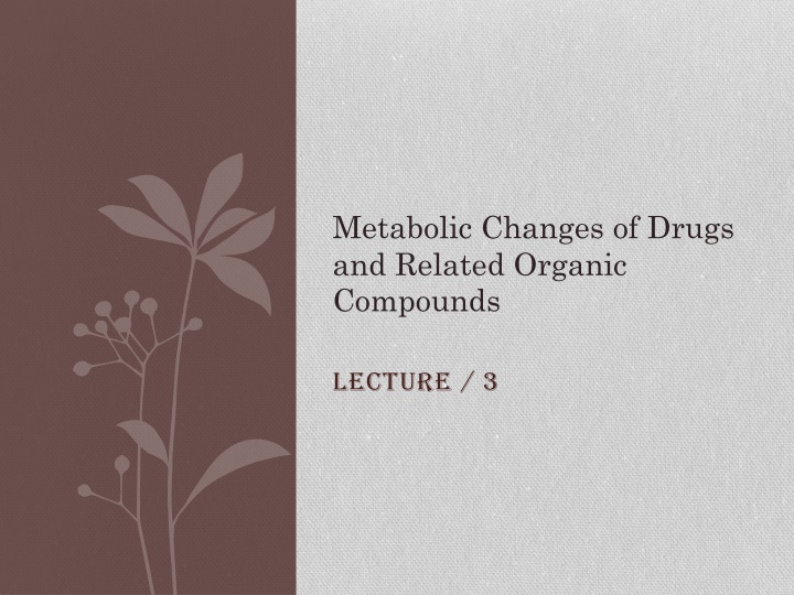 metabolic changes of drugs and related organic