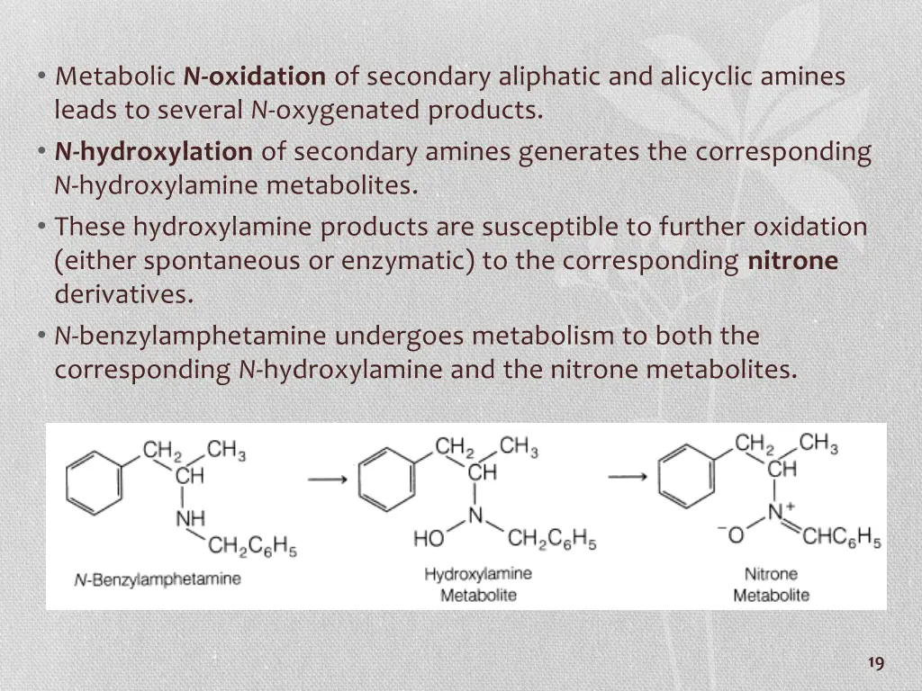 metabolic n oxidation of secondary aliphatic