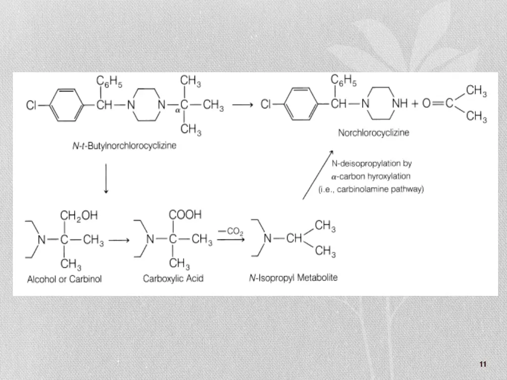 slide11