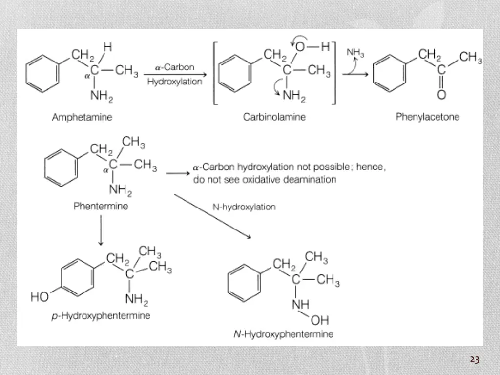 slide23