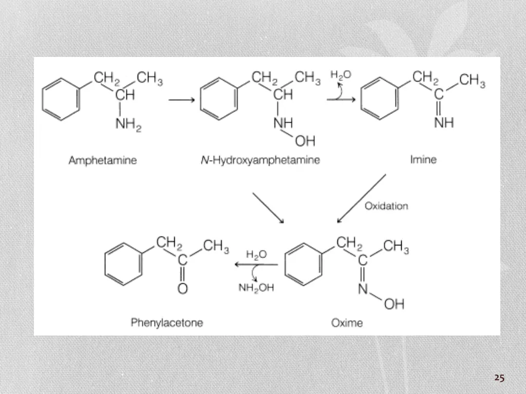 slide25