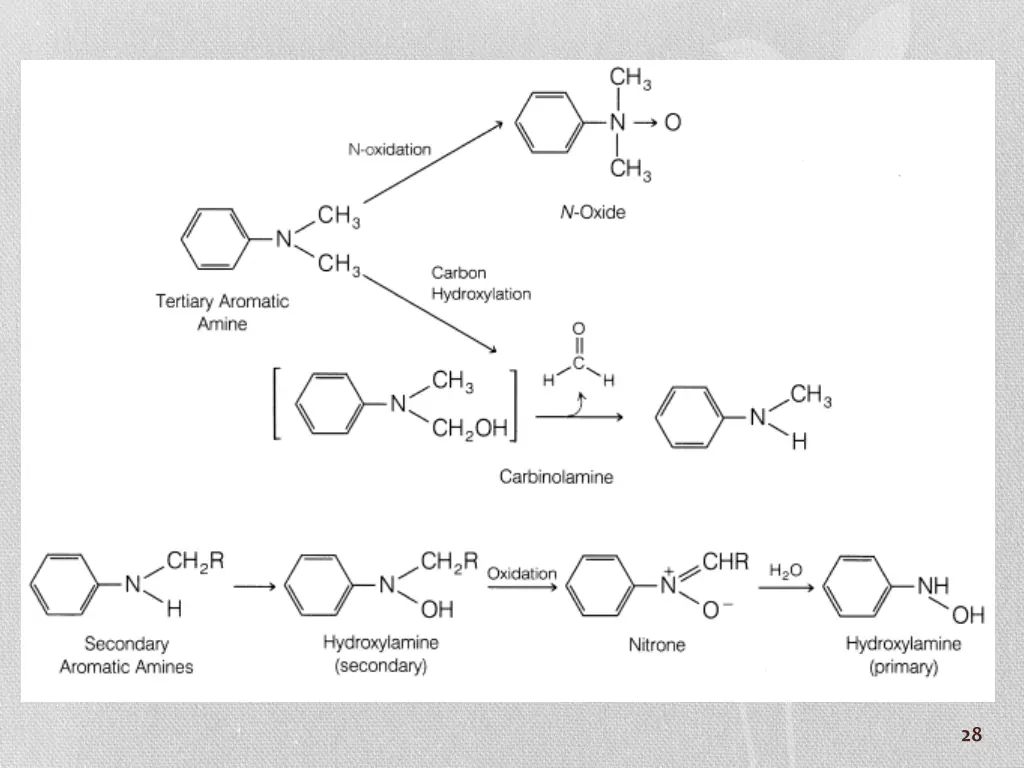 slide28
