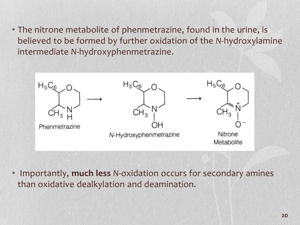 the nitrone metabolite of phenmetrazine found