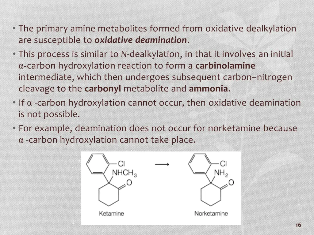 the primary amine metabolites formed from